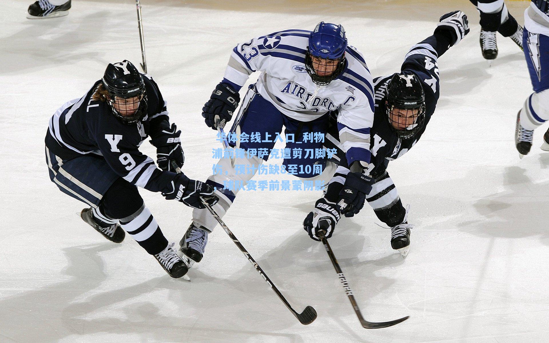 利物浦前锋伊萨克遭剪刀脚铲伤，预计伤缺8至10周，球队赛季前景蒙阴影